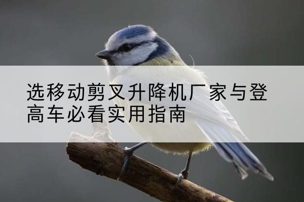 河南电动升降机厂家-选移动剪叉升降机厂家与登高车必看实用指南
